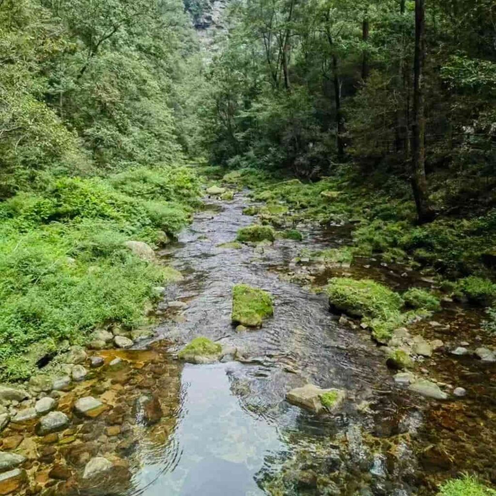 jinbianxi