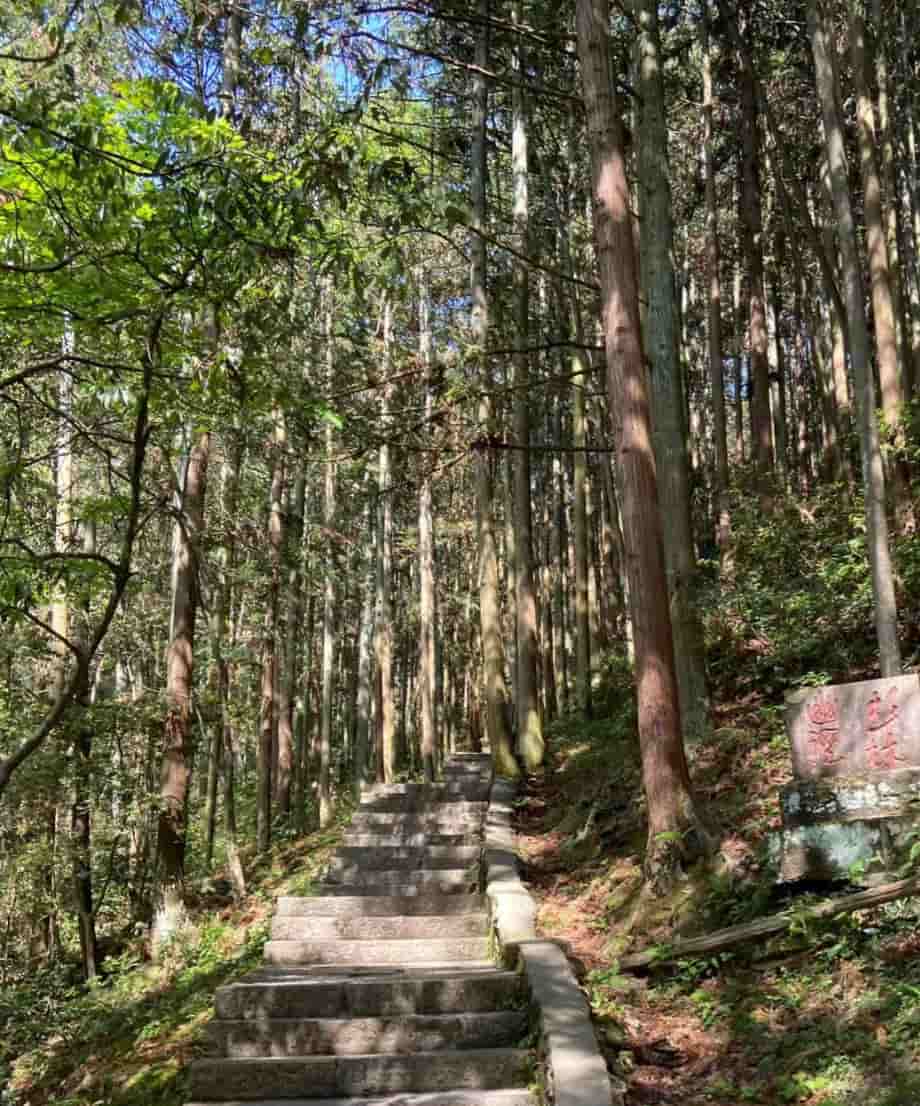 Shanlin Youjing Trail/Secluded Cedar Trail
