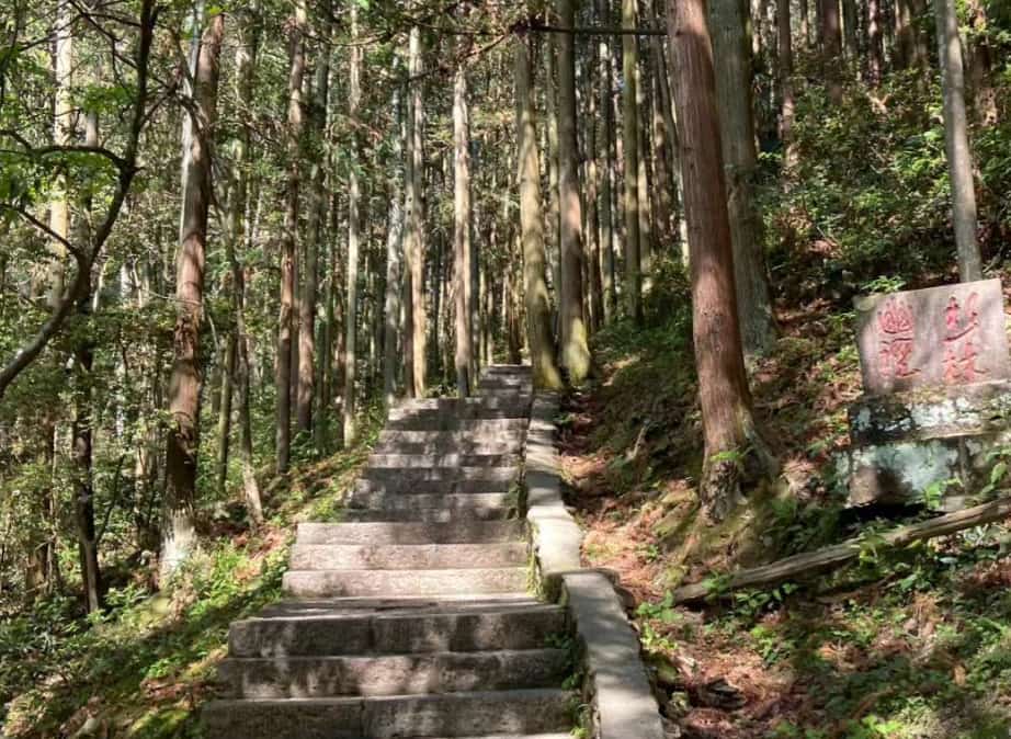 Shanlin Youjing Trail/Secluded Cedar Trail