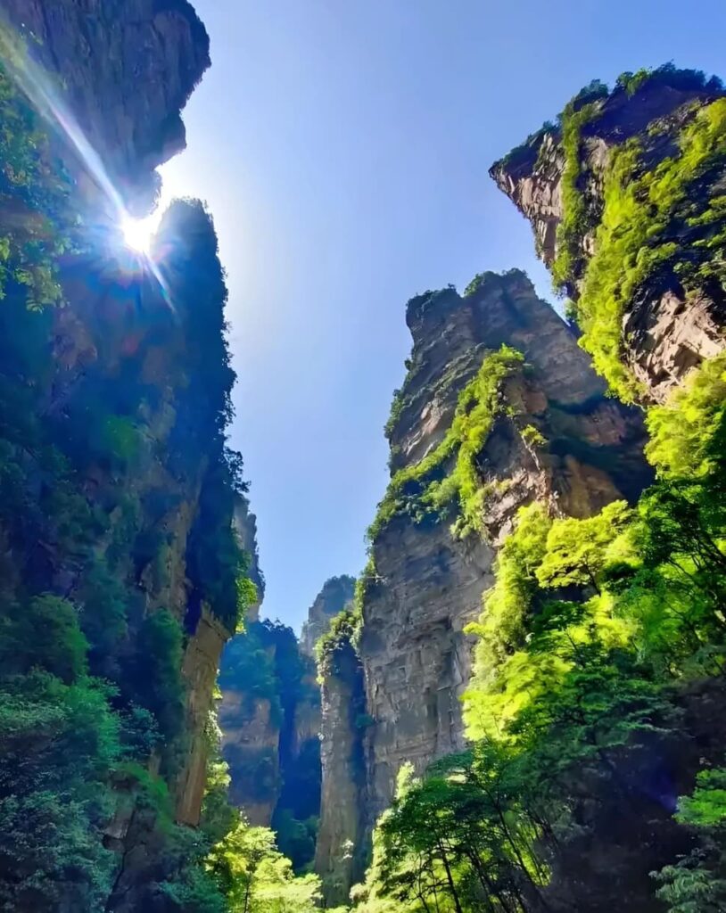 Golden Whip Rock