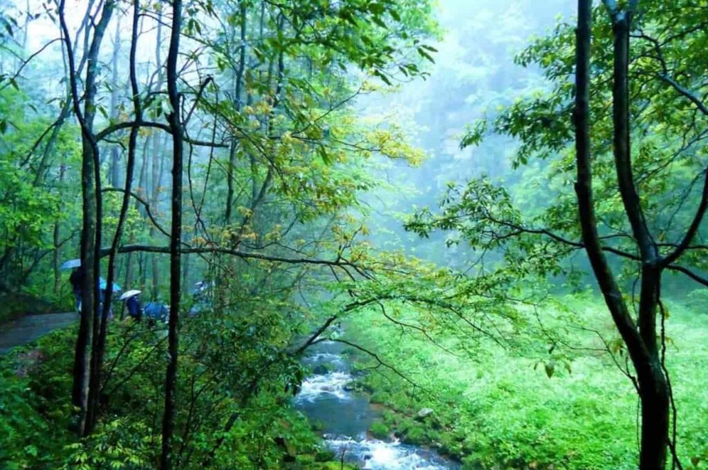 Climatic characteristics of Suoxi Valley