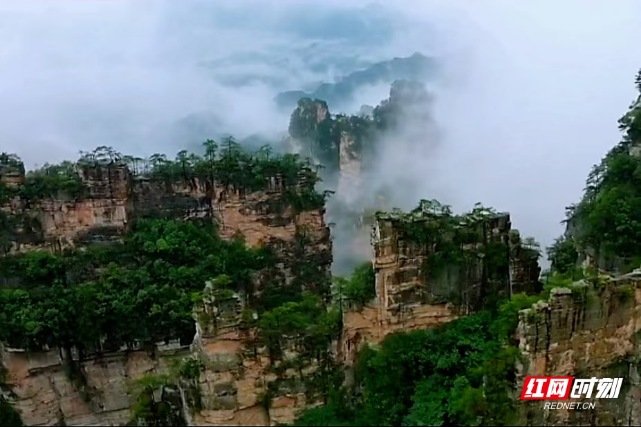 Yangjiajie Scenic Area