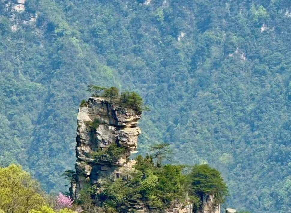 What is special about Zhangjiajie