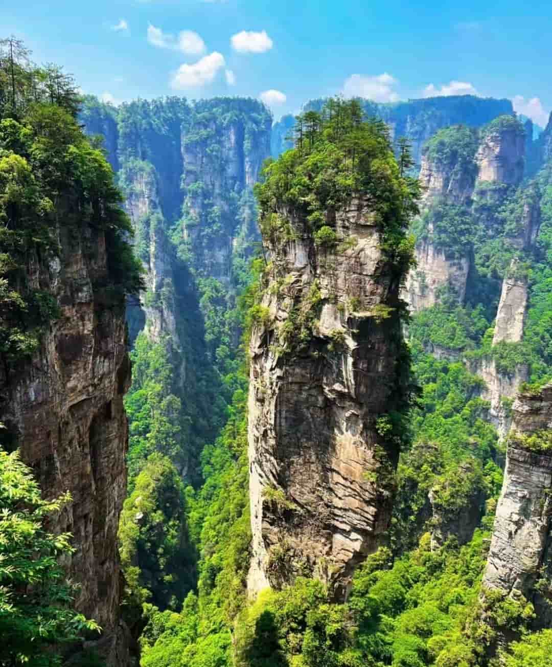 Zhangjiajie National Park opening hours