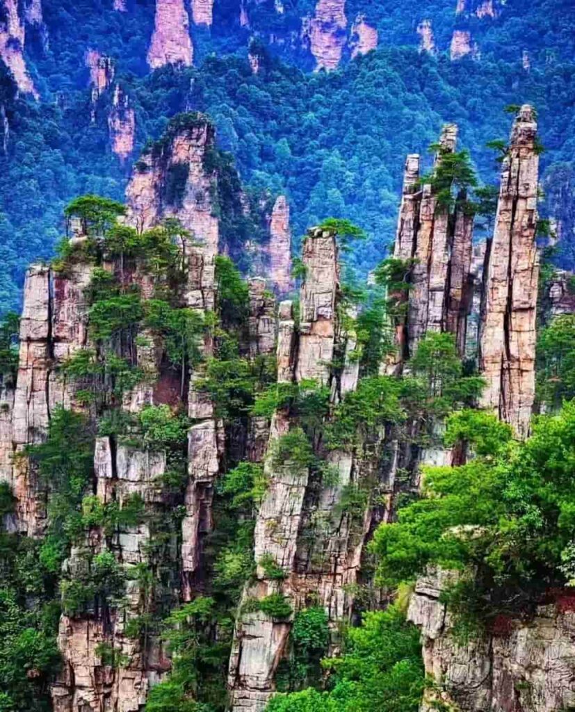 What are the must-see attractions in Zhangjiajie National Forest Park?